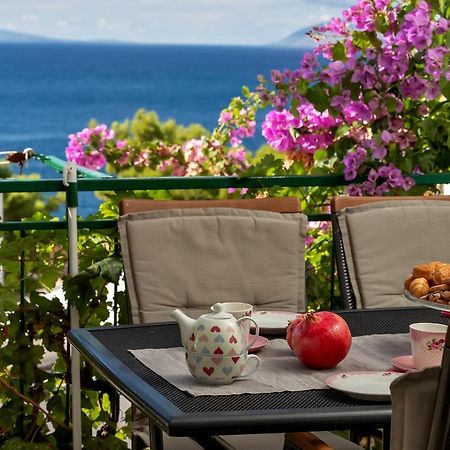 Apartmani Antonela Драшнице Экстерьер фото